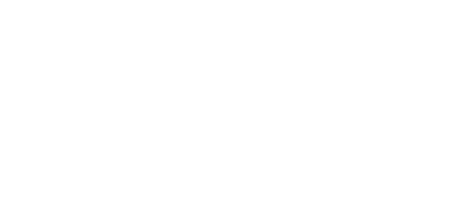 logo+white